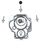 IPTO Gasket Kit with Brake Pistons Fits International 706 756 766 1066 77721C91