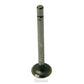 825369M1 New Exhaust Valve Fits MF Tractor TEA20 100652 6005029100