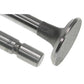 Intake Valve Fits Massey Ferguson Models