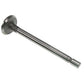 Intake Valve Fits Massey Ferguson Models