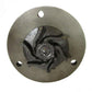 830691M91 Water Pump for MF 50 135 30 35 20 150 TO35 245 230 235 2135 202 203