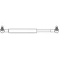 AM84168525 Gas Strut, Door