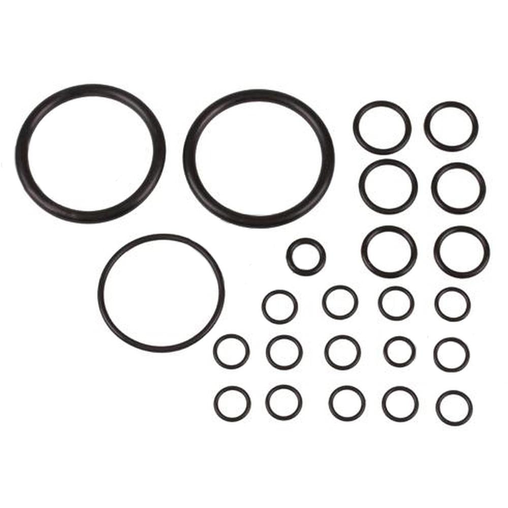 Hydraulic Lift Pump Seal Kit Fits Massey Ferguson Replaces 894906M1