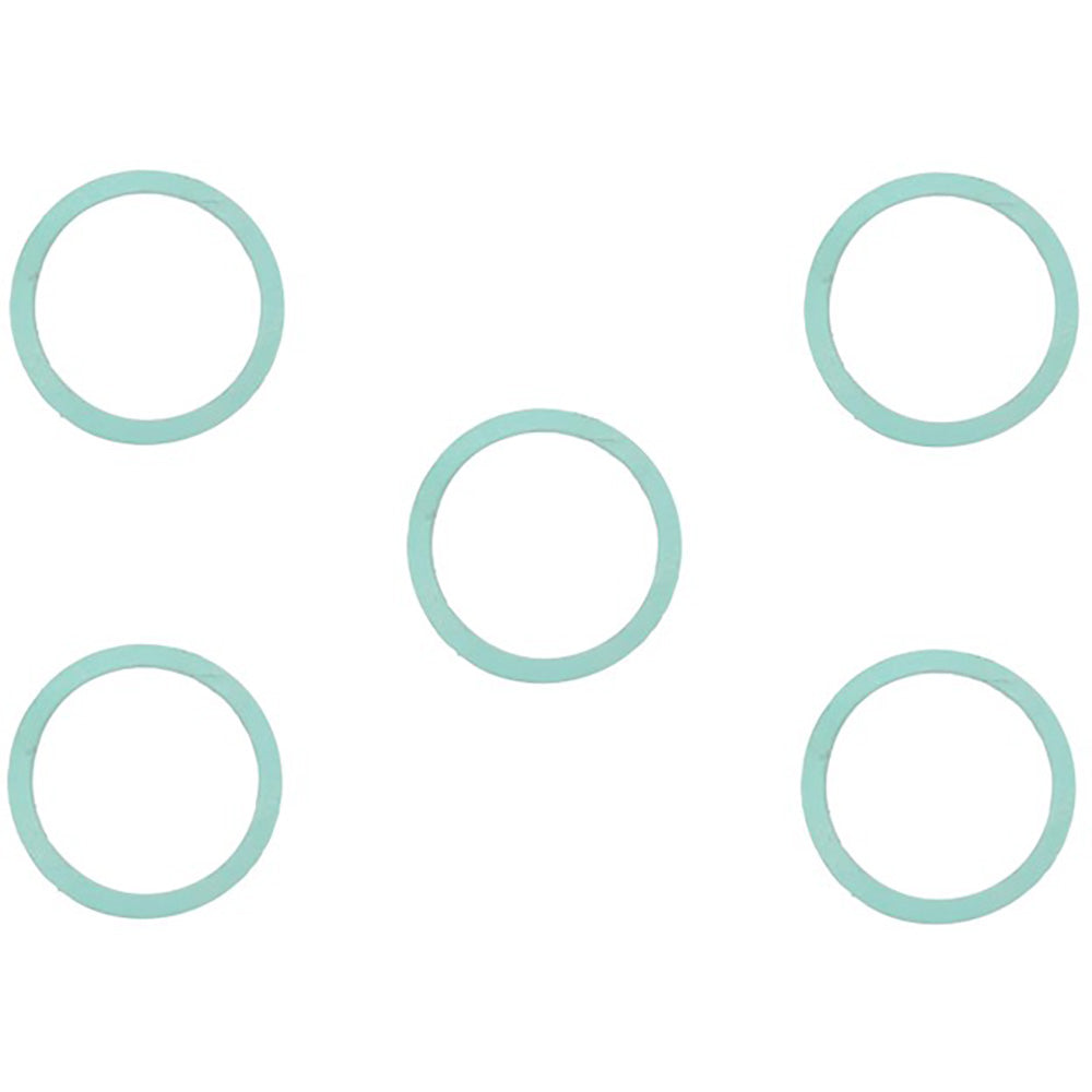 Qty 5: Hydraulic Pump Drain Gasket
 Fits Massey Ferguson Replaces 181468M1