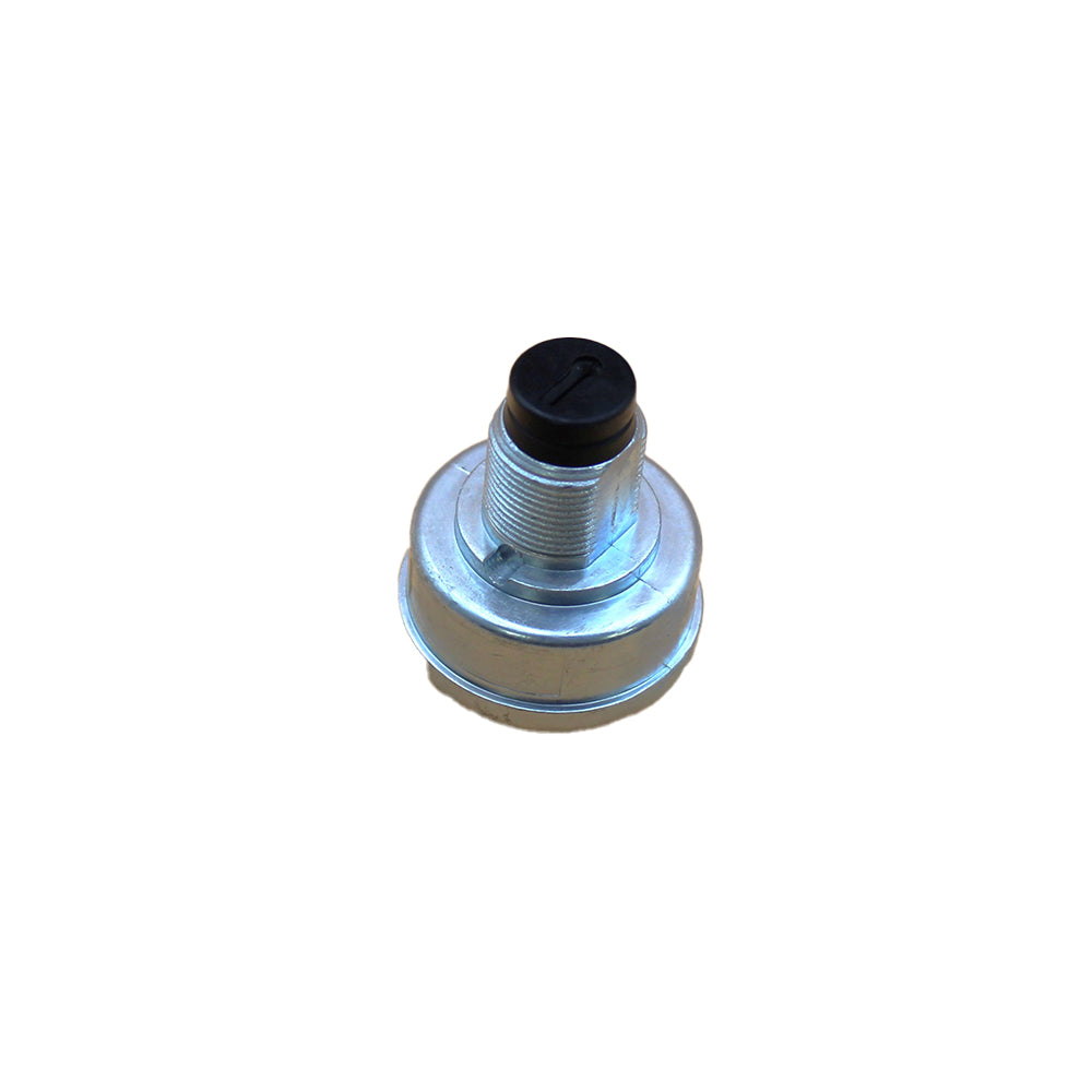 925-06854 (3) Position Key Switch Fits Cub Cadet/MTD CB2900 Pro HW336 Pro HW34
