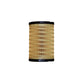 Fuel Filter Fits Landini Replaces 26560163