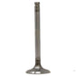 A-31431103-AI INTAKE VALVE