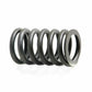 A-3900276-AI Spring; Valve