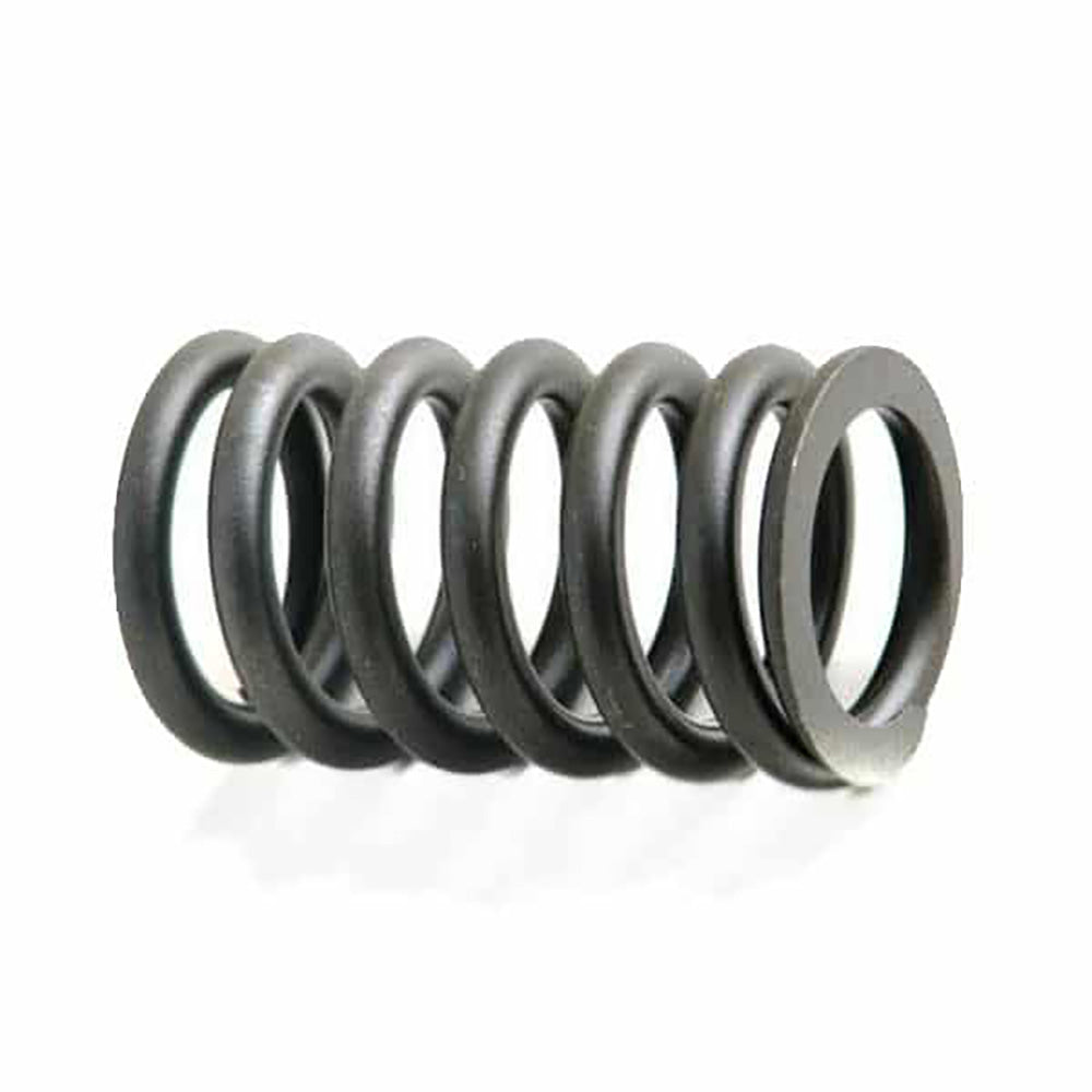 A-3900276-AI Spring; Valve