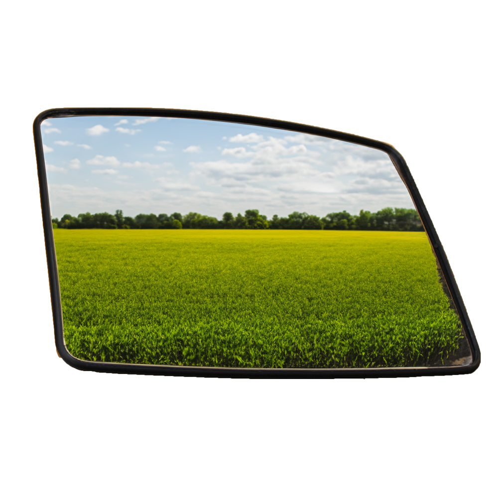 Mirror Head Fits Massey Ferguson Replaces 3902430M1