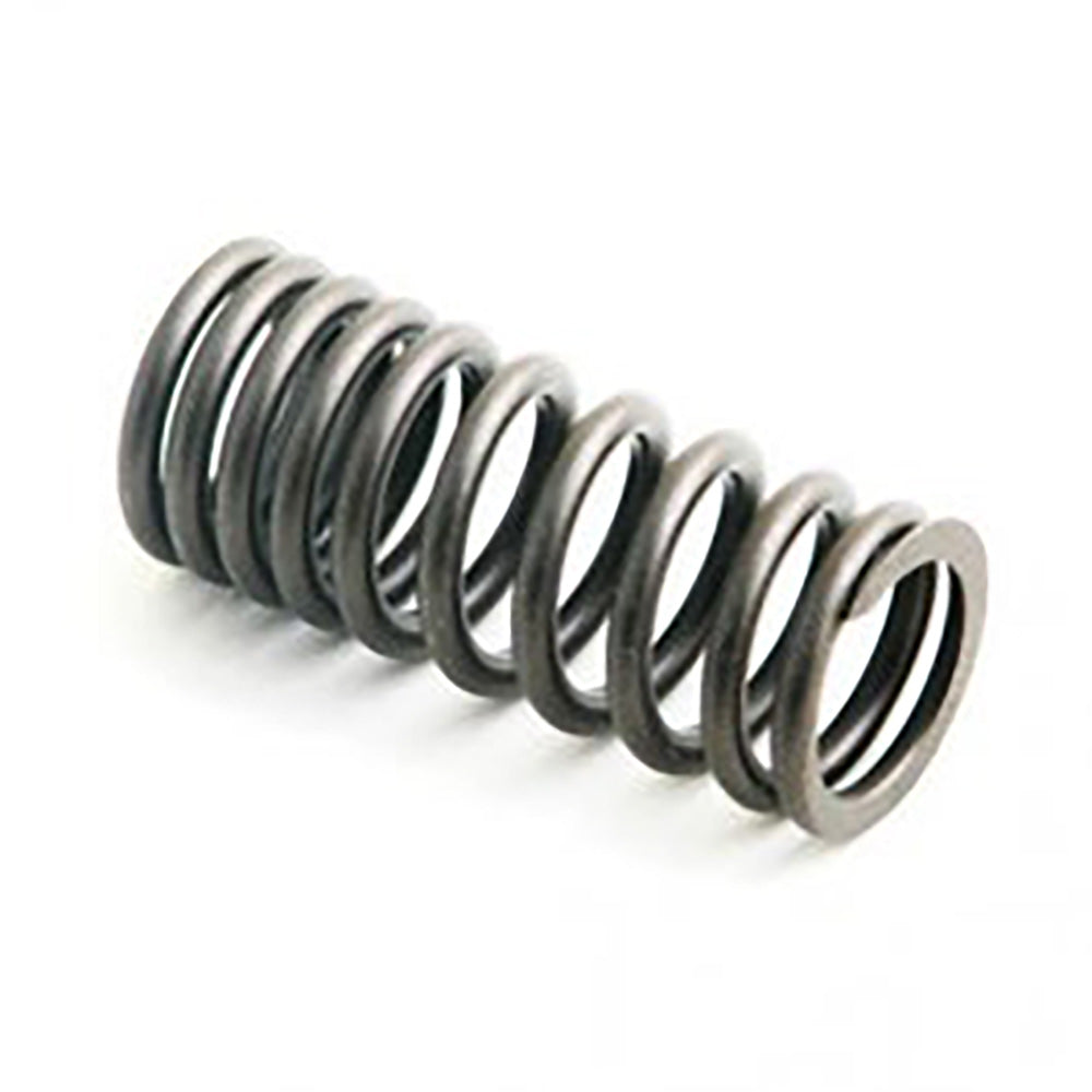 A-406723R1-AI Spring, Valve
