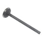 A-4673608-AI Valve, Exhaust