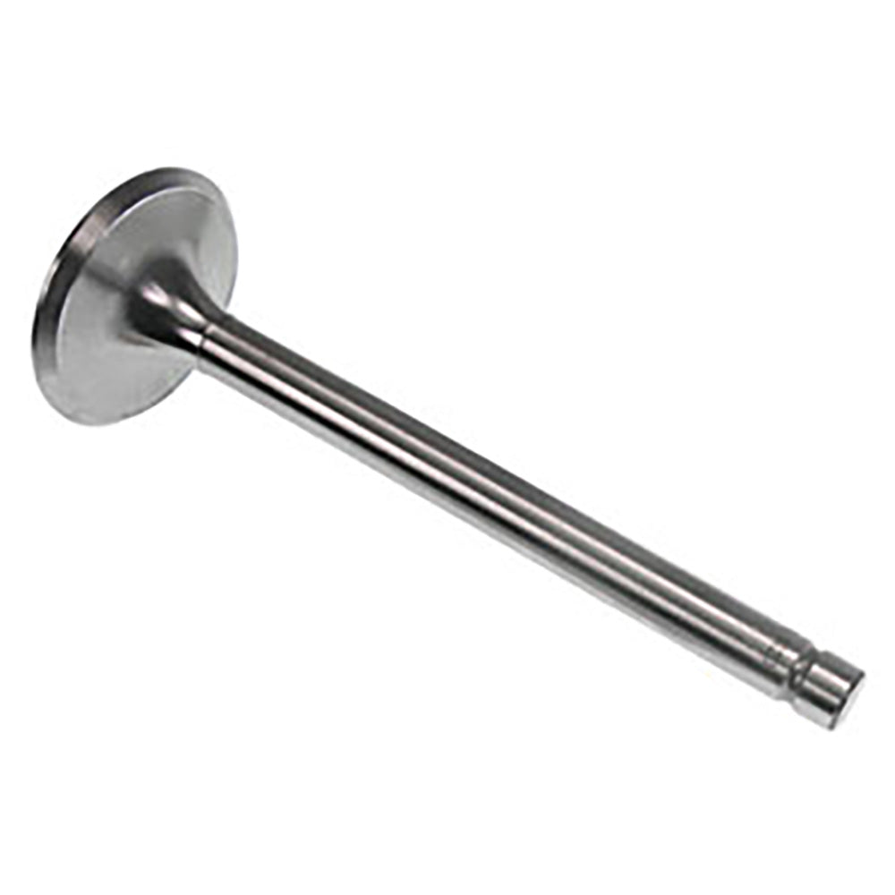 A-69010555-AI Valve, Intake