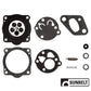B1CK171 CARB - TK - REPAIR KIT