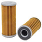 2 Pack Hydraulic Filter Fits Hustler Replaces 411154S