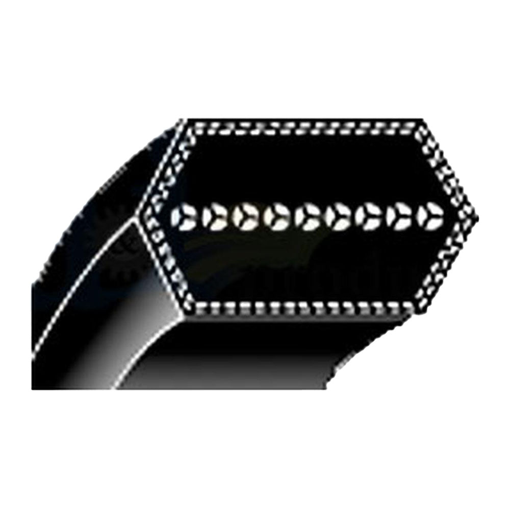A-BB273 Double V-Belt (5/8" X 276")