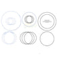 Seal Kit A46286 Fits Case 3394 3594 4490 4494 4690 4694 4890 4894 770 870 970