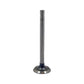 ACS5268-STR Exhaust Valve Fits Allis Chalmers D17 WC WD WD45 WF 170 175