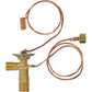 Externally Equalized Expansion Valve Fits Agco Replaces 1634663M1