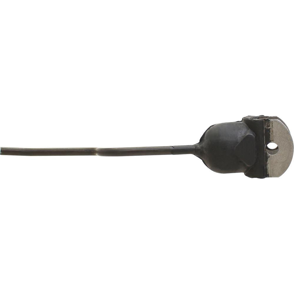 AM106036 Pickett Bean Tine