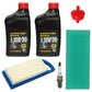 Filter Set w/ Spark Plugs and Oil Fits Briggs & Stratton Replaces 1501729MA