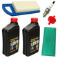 Filter Set w/ Spark Plugs and Oil Fits Sabre Replaces AM107314
