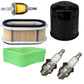 Tune Up Service Kit Fits John Deere LX173 LX178 LX186 M96846 M96847 AM107423