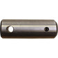 AM120732C1 Pivot Pin, Rear
