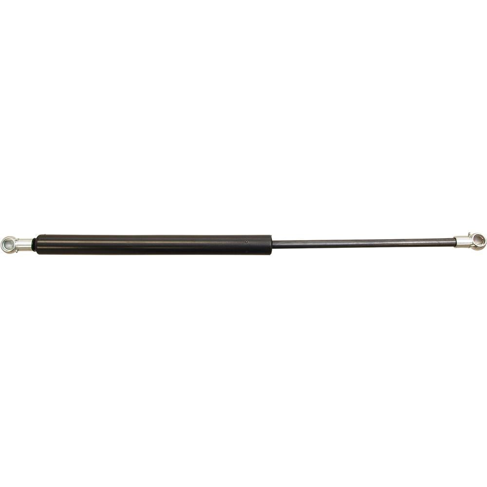 AM252636A1 Gas Strut, Hood