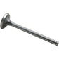 AM31431281 Intake Valve