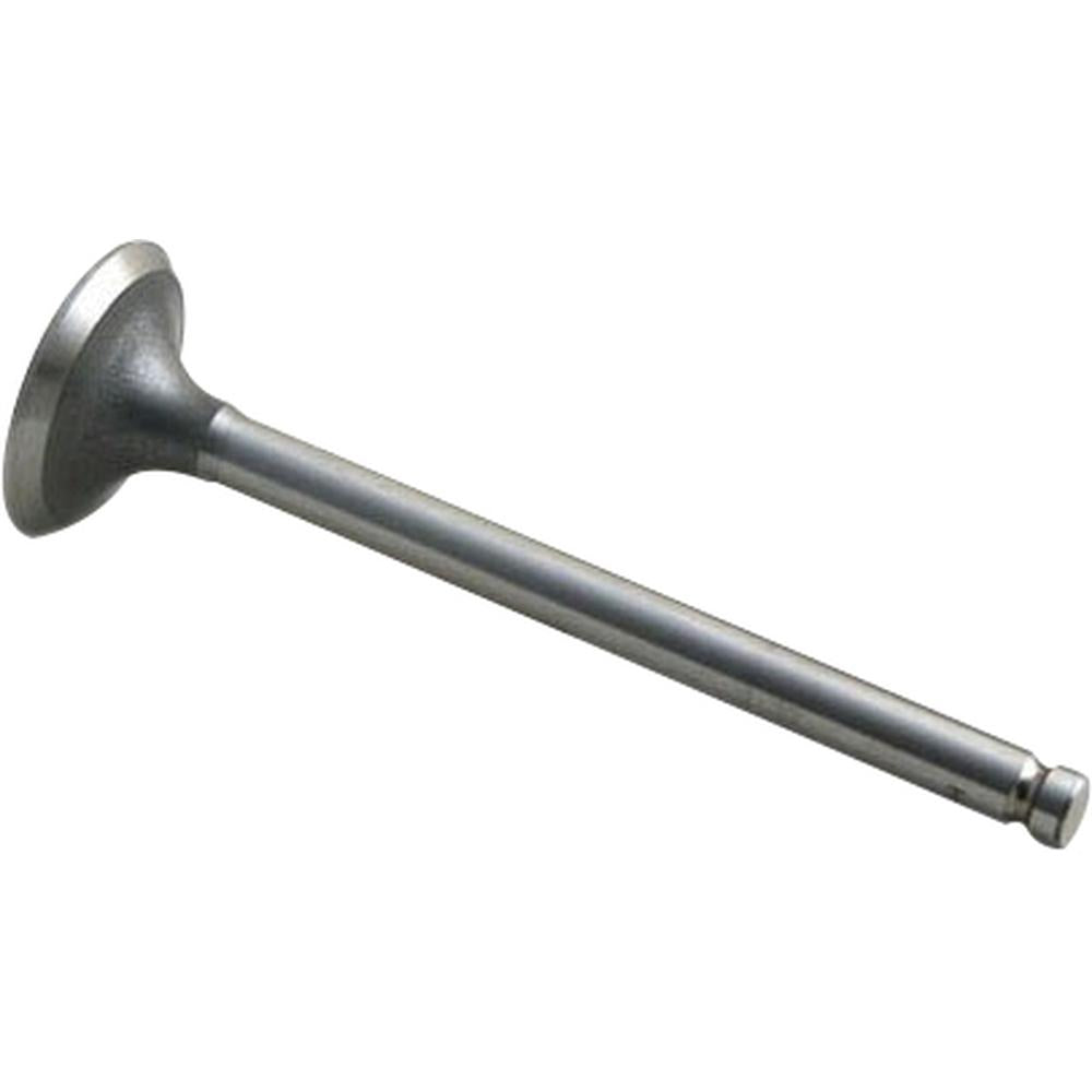 AM31431591 Exhaust Valve