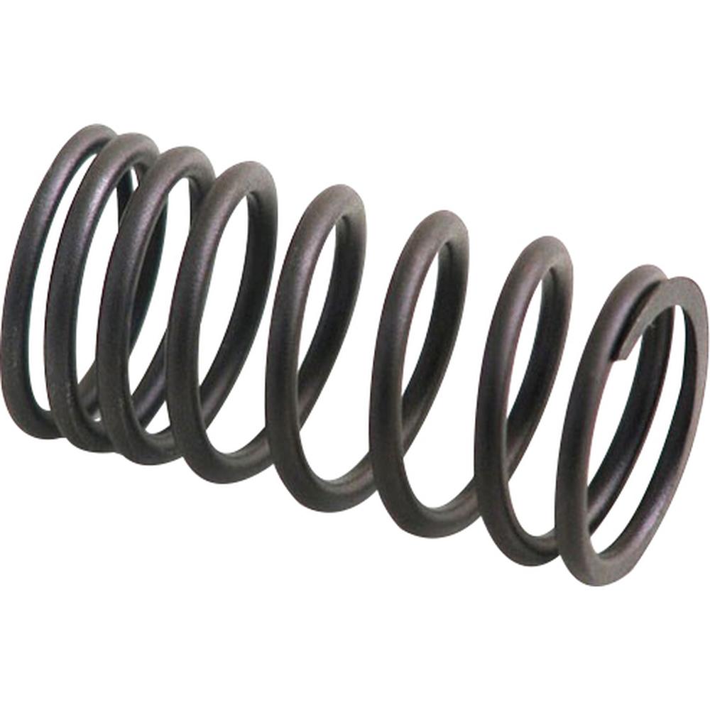 AM31745121 Outer Valve Spring