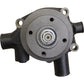 AM3637372M91 Water Pump With Pulley