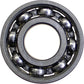 AM6001 Pilot Bearing