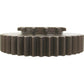 AMH170781 Gear