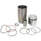 Piston Liner Kit Fits John Deere Replaces RE60282