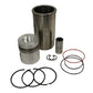 WN-RE69393-PEX Piston Liner Kit Fits John Deere 4320 4520 4620 5440 644 644A 646