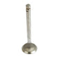 Fits Ford Tractor Exhaust Valve 334 335 3400 340 345 3500 3550 4110 420 4400 445