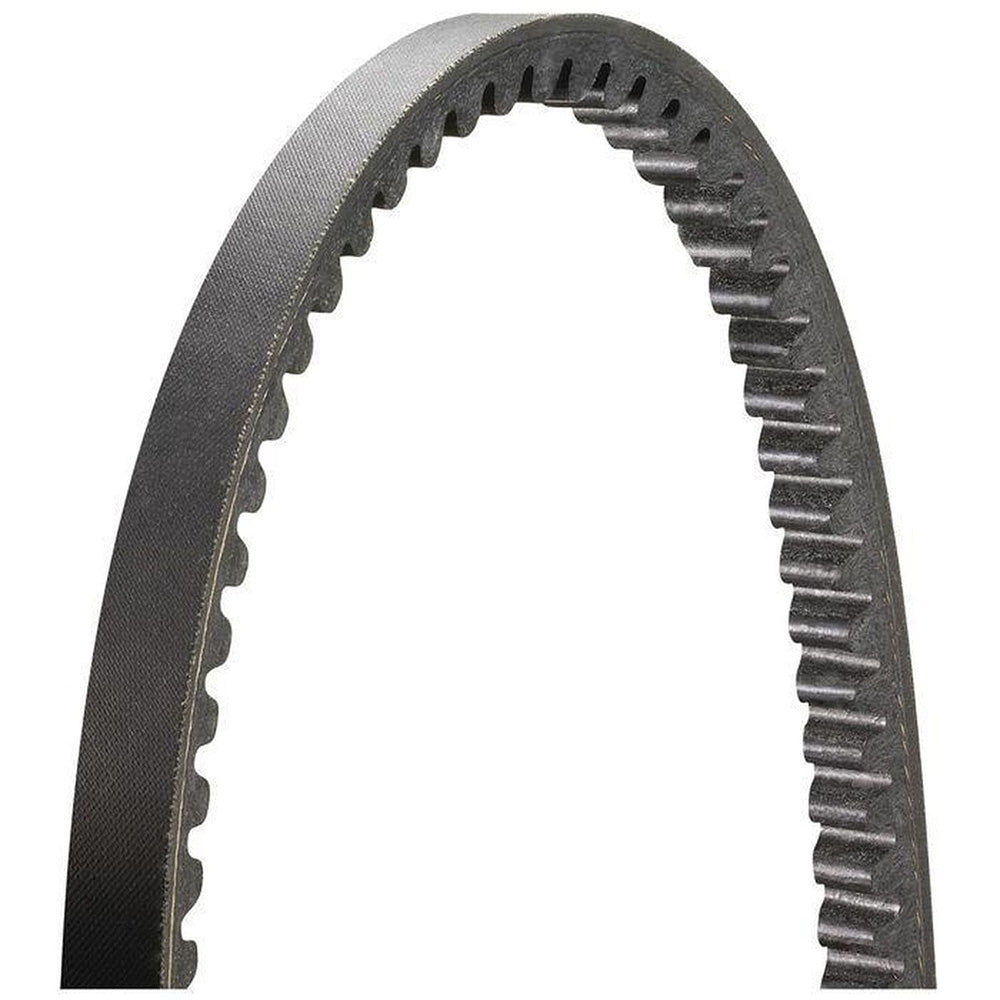 Automotive Wedge Belt Fits White Replaces 303143201