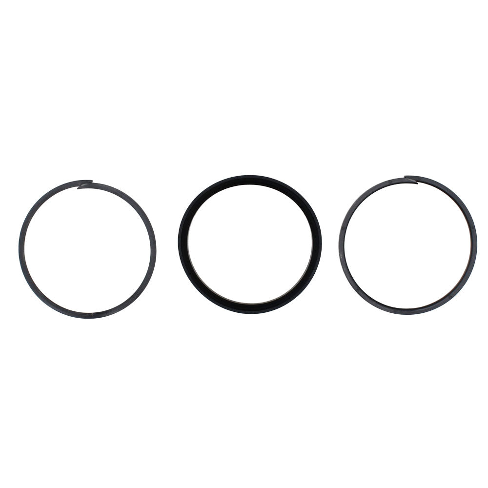 CPS-4000 Standard Piston Seals