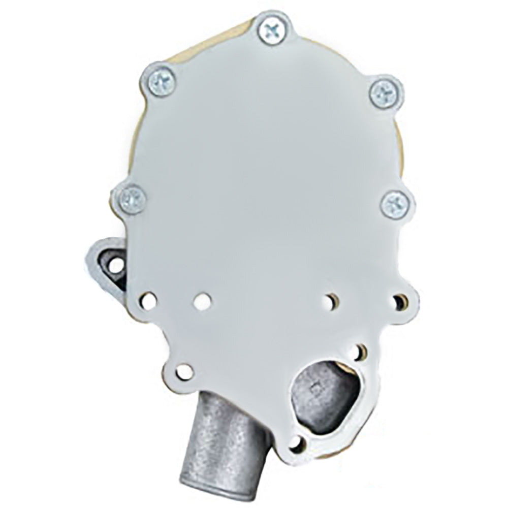 Water Pump Fits Ford New Holland TC25 TC25D T27D TC29 T29D