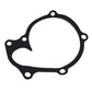 Water Pump Fits Bobcat A300 S220 S250 S300 S330 S750 S770 6680852
