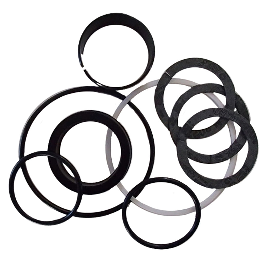 Fits Case D42873 Hydraulic Cylinder Seal Kit