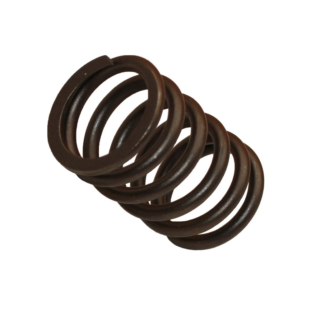 Valve Spring Fits Ford Replaces 3911693