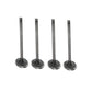 Qty 4: Intake Valves Fits Ford/New Holland Replaces 81824116
