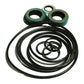 AP S Pump Seal Kit Fits Ford New Holland Tractor 2000 Others - DHPN3A674A