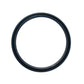 Rear Crankshaft Seal Fits Ford/New Holland Replaces 3952004