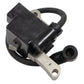 Solid State Module, for Lawn Boy 682702, 683215, 683080 :