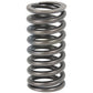 MFS5448-STR Valve Spring Fits Massey Ferguson TE20 TO20 TO30 TO35 F40 35 50 135