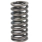 Valve Spring Fits Massey Ferguson Tractor 135 150 202 204 35 50 TE20 TO20 TO30